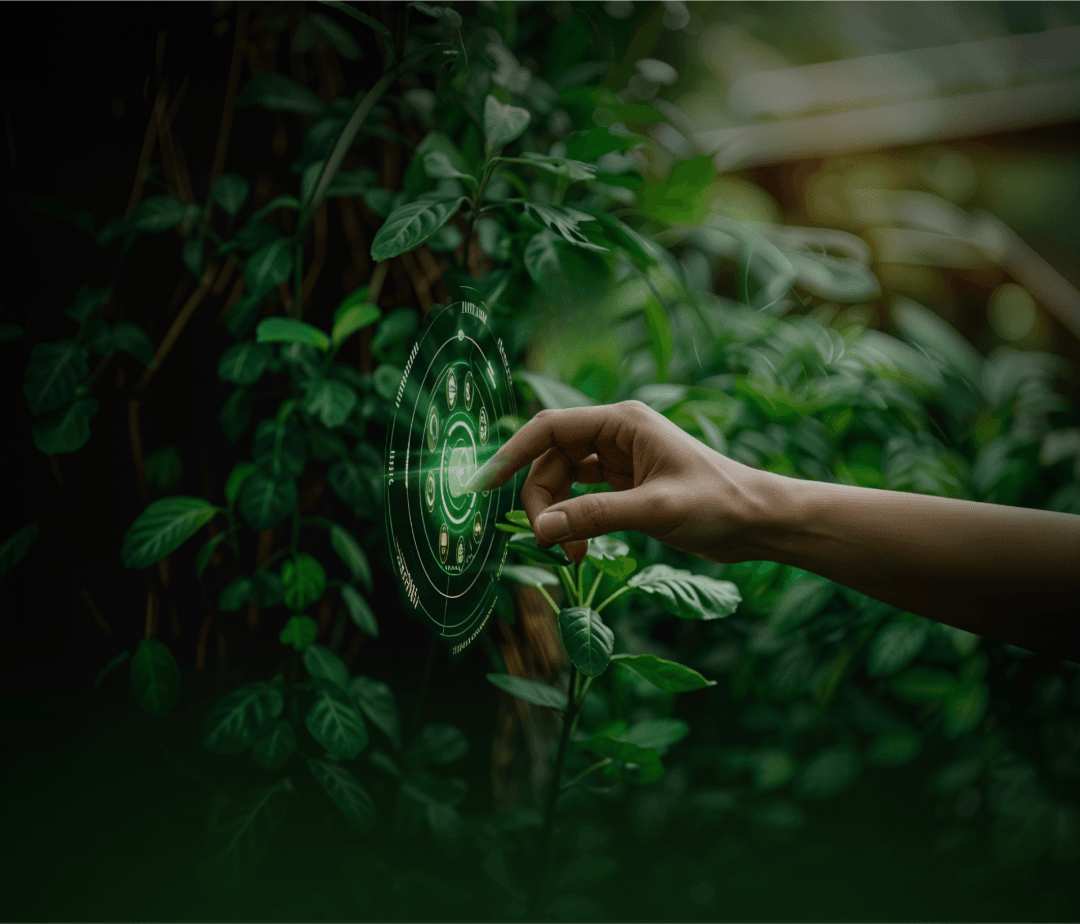 Veeline Banner Image