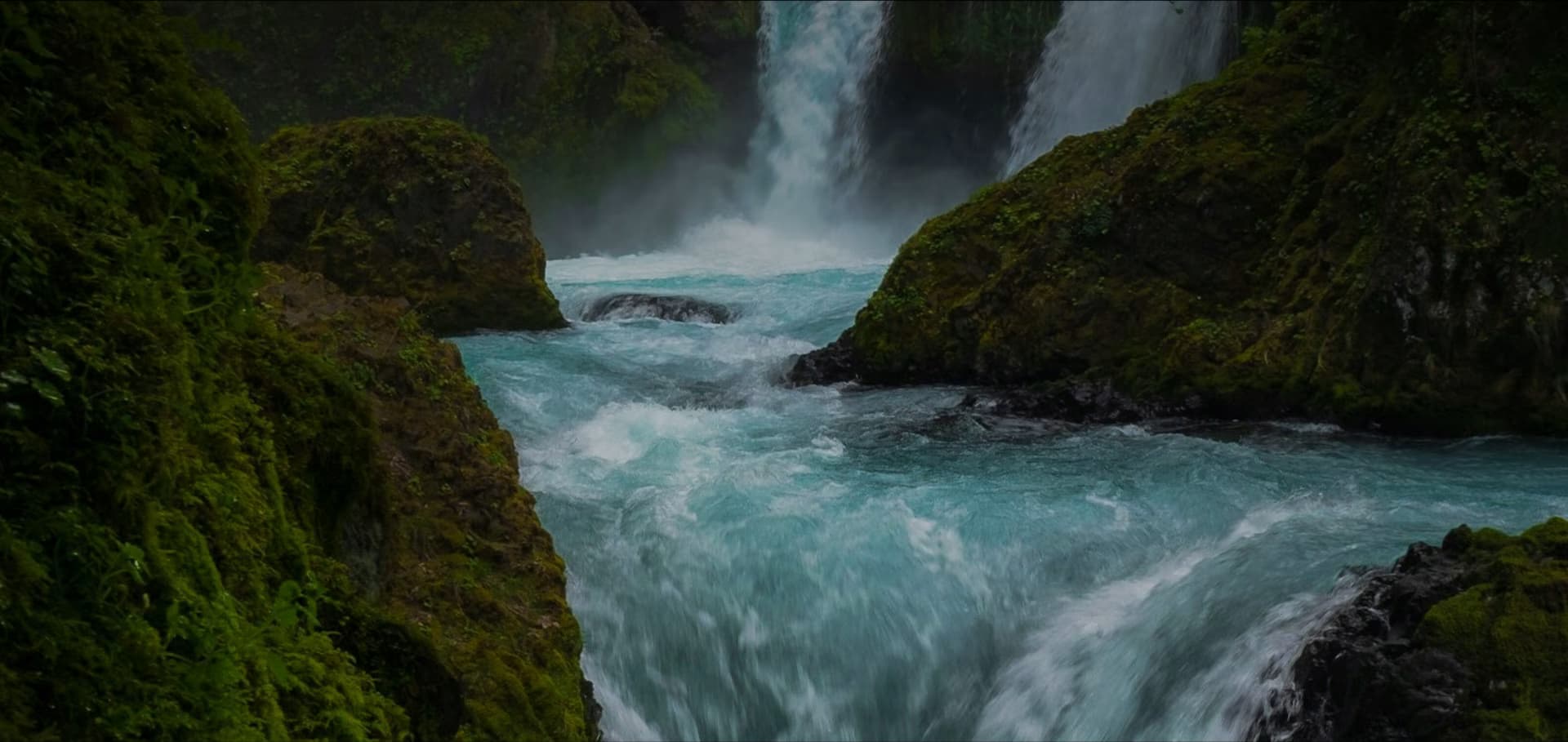 Veeline Banner Image