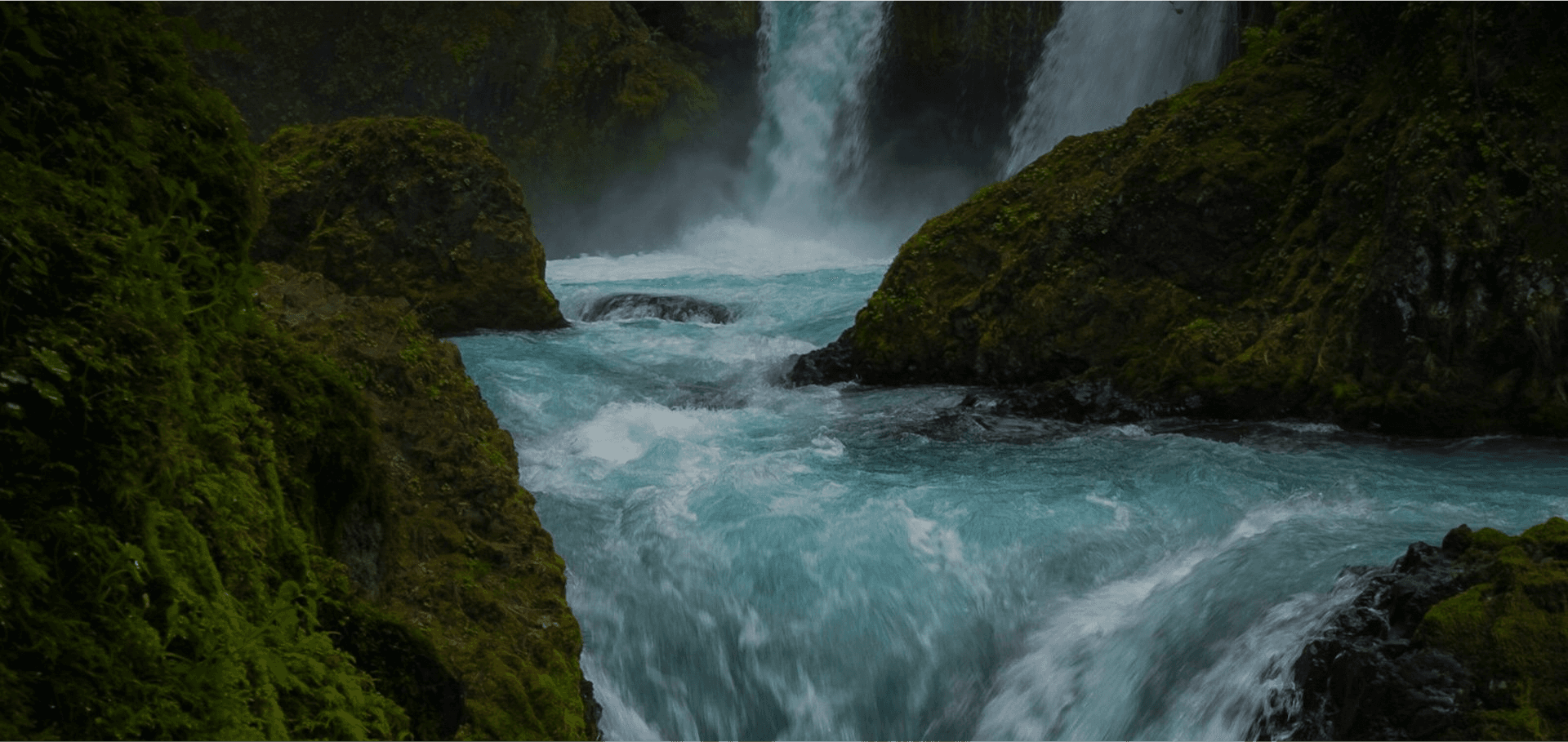 Veeline Banner Image